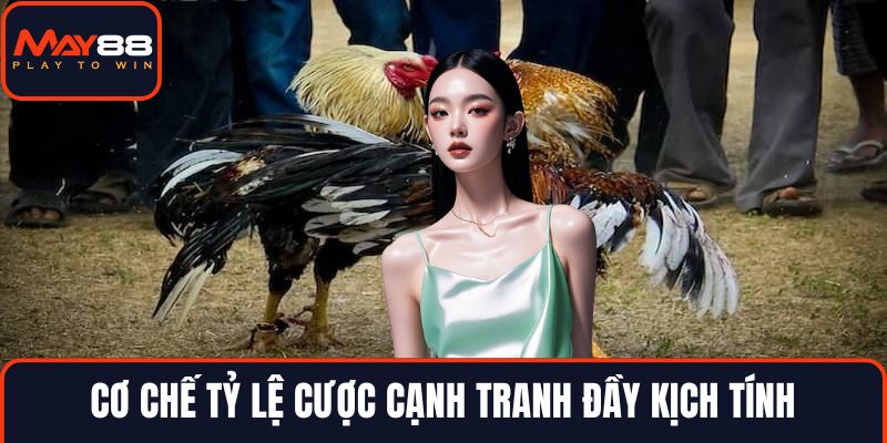 Cơ chế tỷ lệ cược cạnh tranh đầy kịch tính